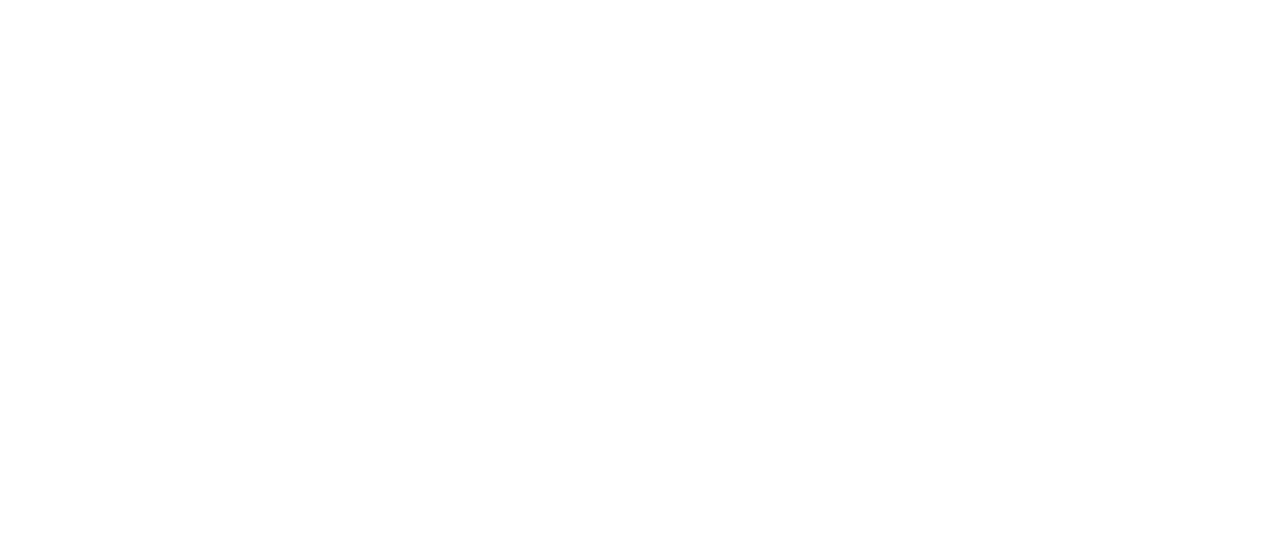 Level Plus